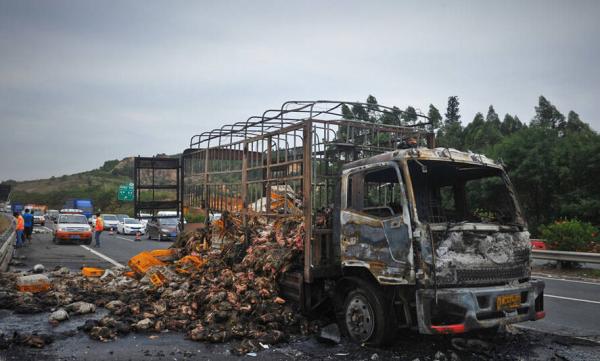 半球電壓力煲電路圖