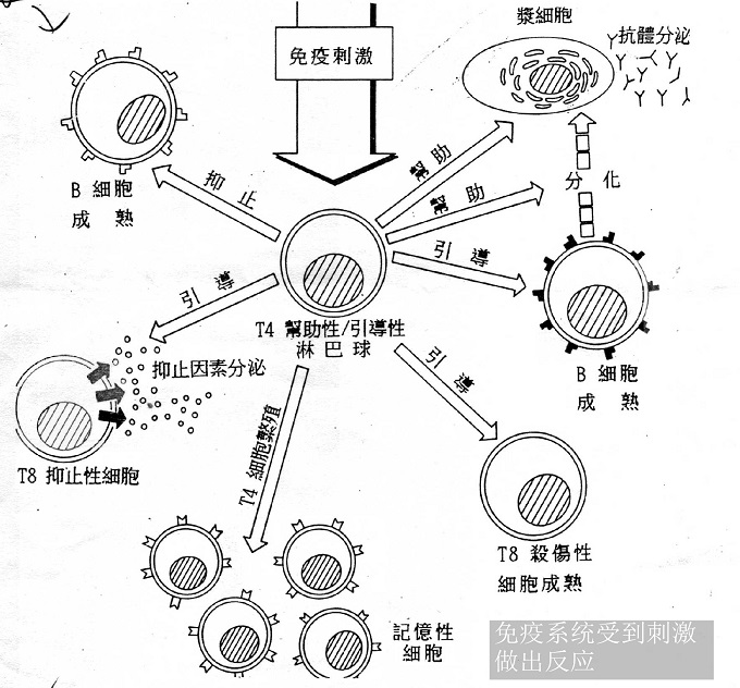 美的熱泵 故障 水位