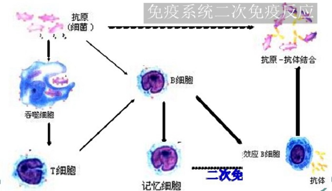 液晶電視頂部有條黑條